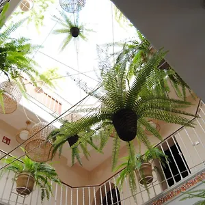Maison d'hôtes Cordoba